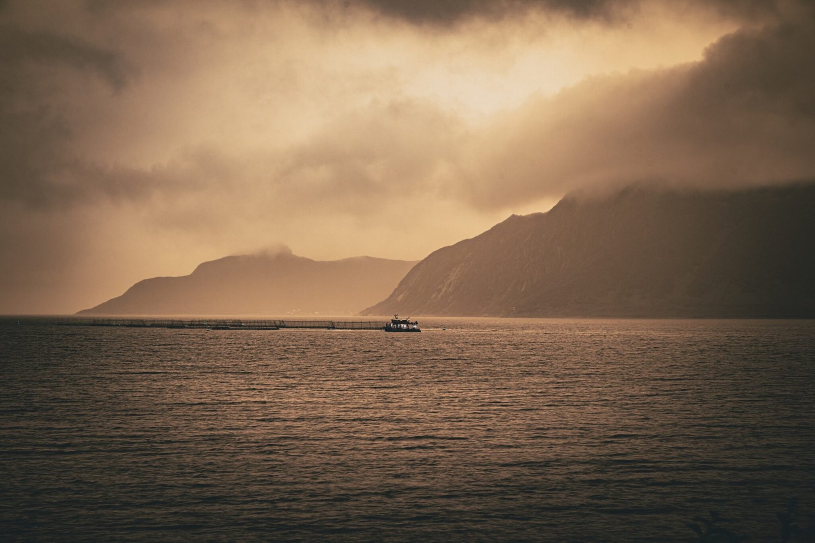 Fischzuchtanlage vor der Küste von Senja im goldenen Abendlicht mit Bergen und Nebel.